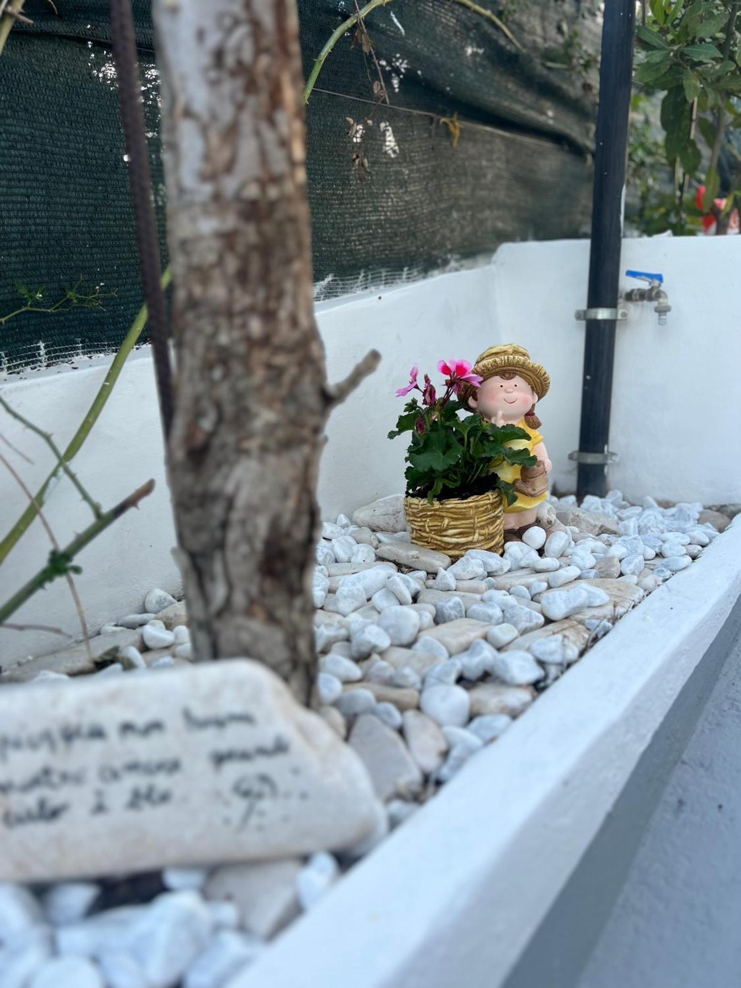 מלון קאסטלמארה דל גולפו Casa Contrada Molinello מראה חיצוני תמונה